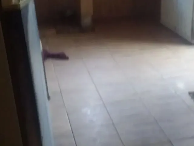 Imagem: Casa pra Vender Logo