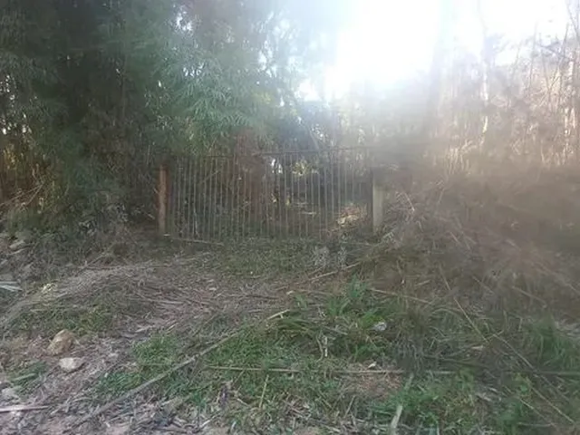 Imagem 3: Chácara 7500M² com Luz