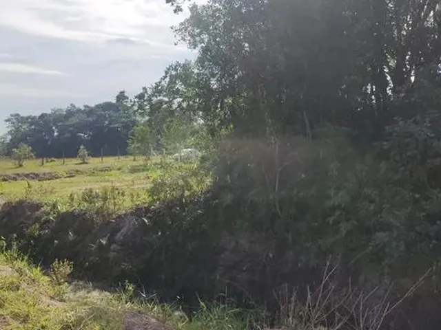 Imagem 4: Vende-Se Terreno em Guaratuba Pr