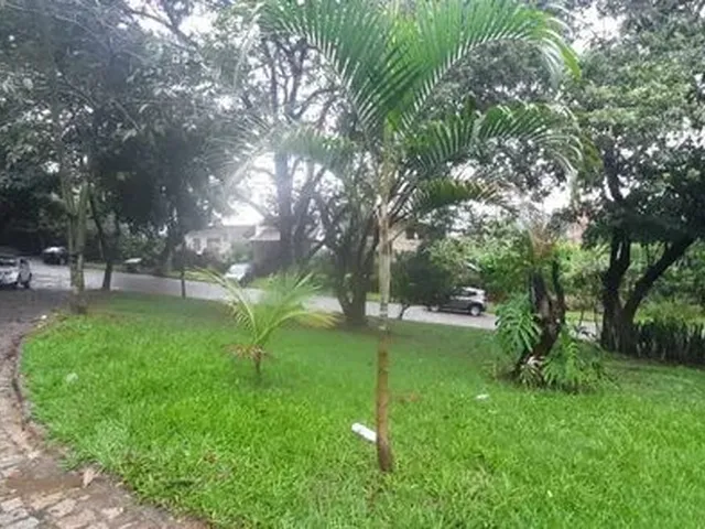 Imagem: Lote em Condomínio no Itanhangá