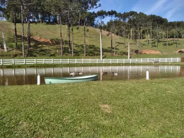 Imagem 3: Sítio Alfredo Wagner ( Limeira