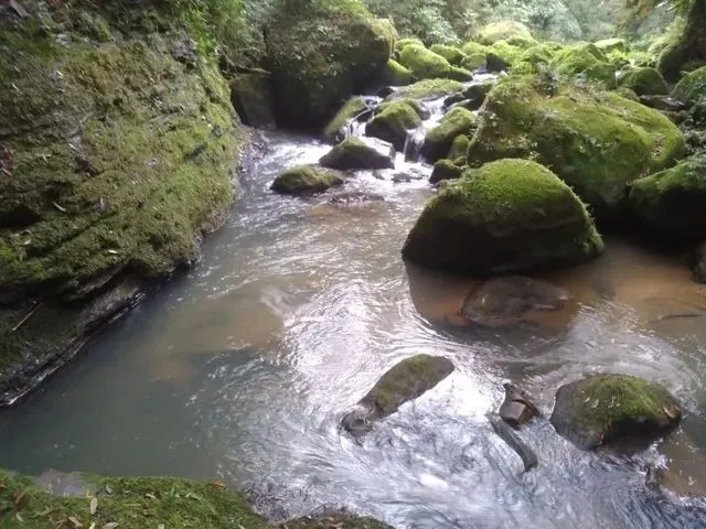 Imagem 13: Sítio Alfredo Wagner ( Limeira