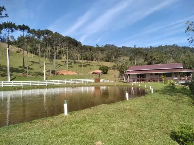 Imagem 15: Sítio Alfredo Wagner ( Limeira