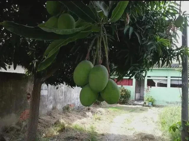 Imagem 4: Casa na Rua 7 de Setembro - Itinga