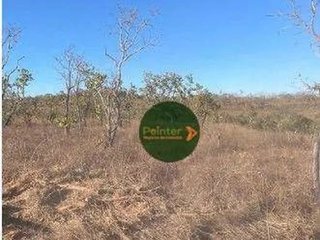 Imagem: Fazenda À Venda, 13400000 M² por R$ 200.000.000,00