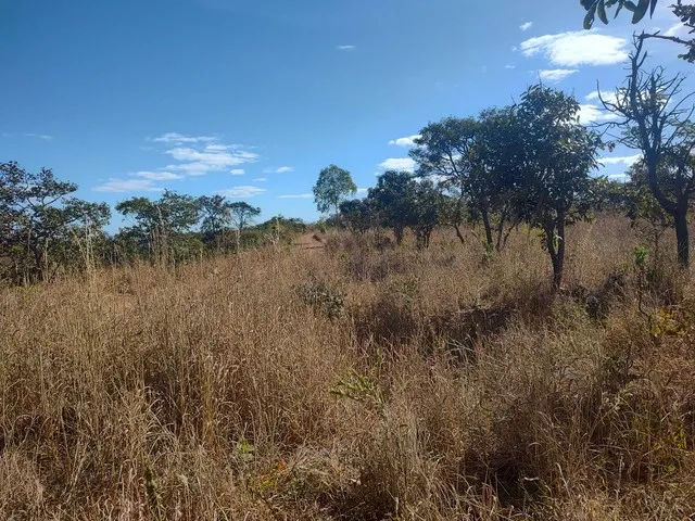Imagem: Fazenda Df Sobradinho