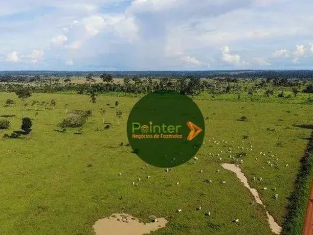 Imagem: Fazenda À Venda, 1.000 Hectares por R$