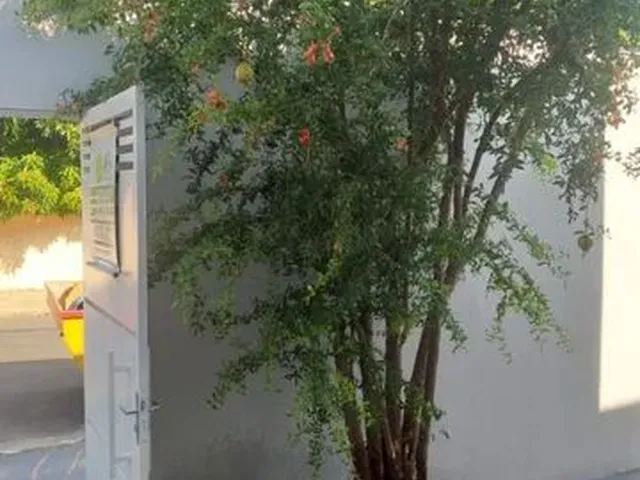 Imagem 5: Casa com 3 Dormitórios À Venda, 92 M² - Goiabeiras - Cuiabá/M