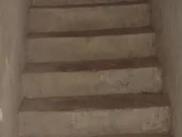 Imagem 10: Casa Duplex no Bairro Parque Verde Tem 4 Quartos , 2 Suítes