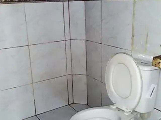 Imagem 10: Apartamento com 3 Quartos, Sendo 2 Suítes. Sem Cobranca de Condominio, Inclue Agua