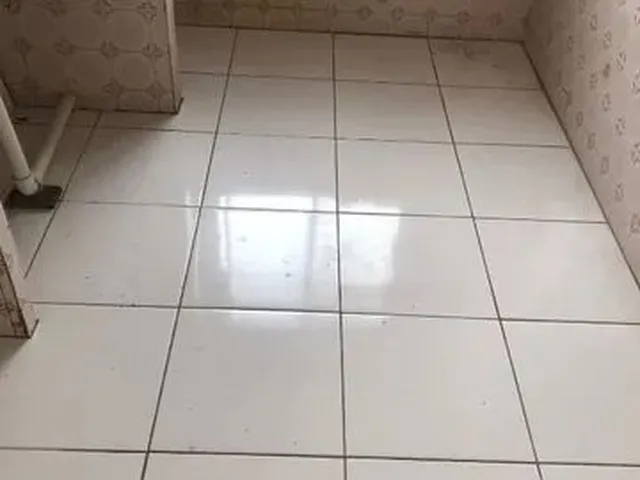 Imagem 4: Apartamento no José Tenório para Alugar