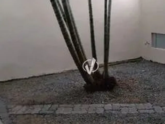 Imagem 4: Casa - Cidade Nova - Pindamonhangaba Sp