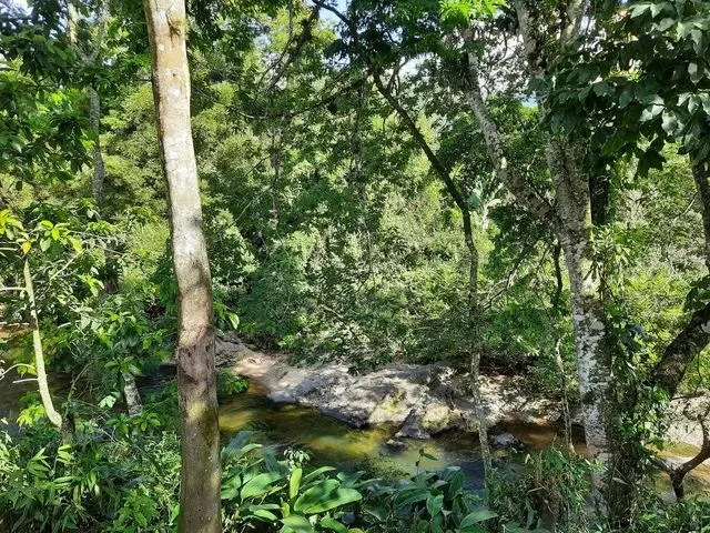 Imagem: Casa a Venda em Itariri