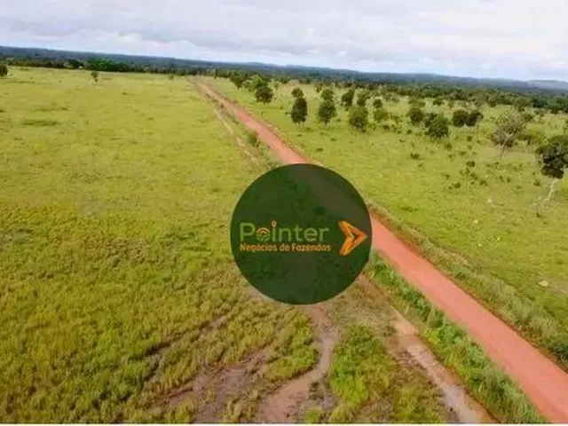 Imagem: A fazenda possui 7.937.600m² de Área e está localizado em