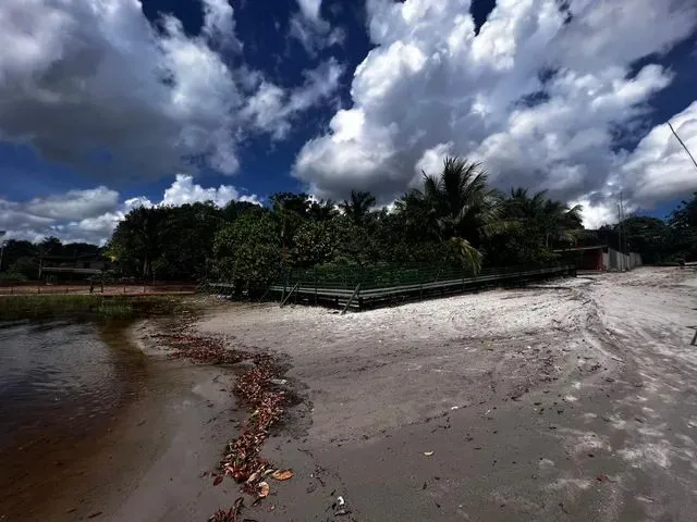Imagem 2: Sítio na Beira da Praia no Tarumã Mirim- Comunidade Agrovila Amazonino Mendes