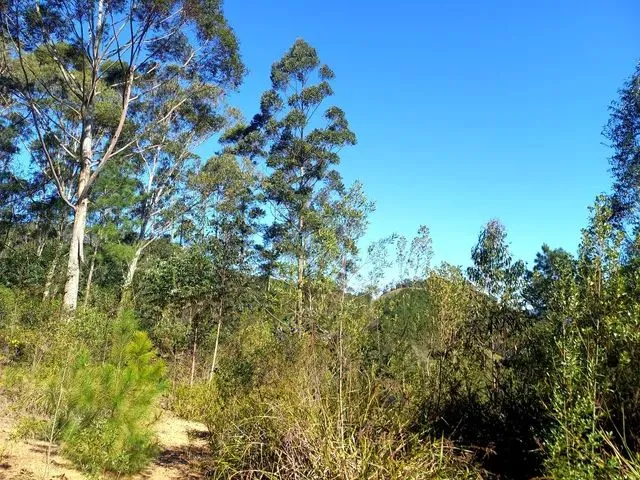 Imagem 5: Anitápolis/Sc - Lindo Terreno com 5.9Hectares