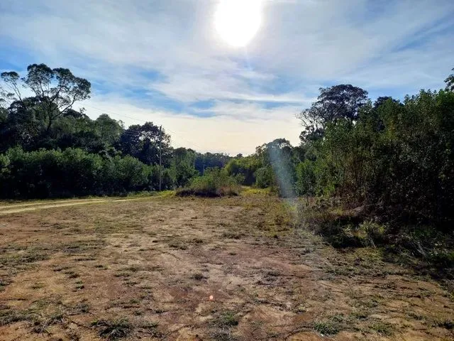 Imagem 7: Anitápolis/Sc - Lindo Terreno com 5.9Hectares