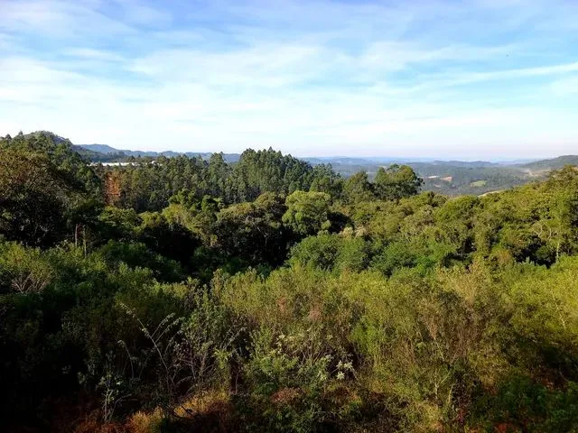 Imagem 13: Anitápolis/Sc - Lindo Terreno com 5.9Hectares