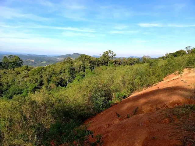 Imagem 15: Anitápolis/Sc - Lindo Terreno com 5.9Hectares