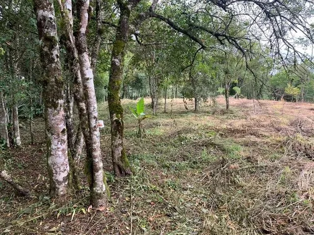 Imagem: Chacara 5Mil Metros Quadrados - Próximo