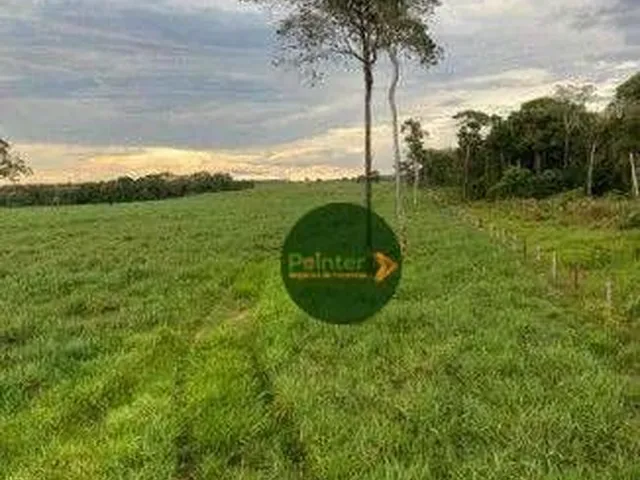 Imagem: Fazenda À Venda, 12000000 M² por R$ 42.000.000