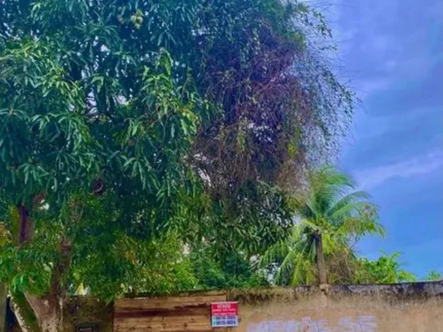 Imagem: Terreno Disponível para Venda
