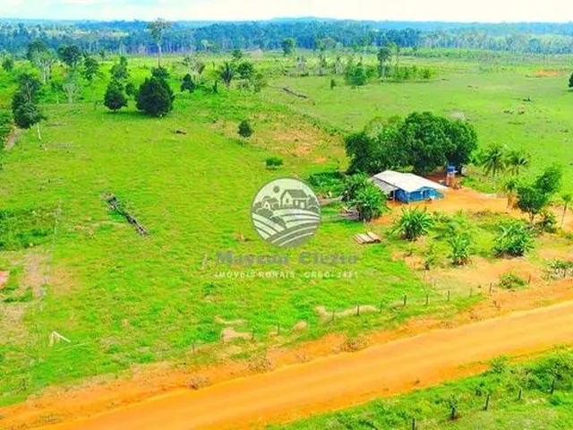 Imagem: Venda - Chácara - Vale do Anari - 4 Alqueires