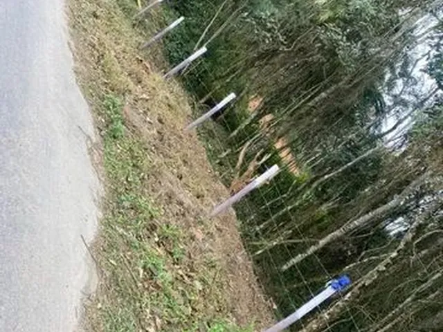 Imagem: Terreno em Aruja. 1.000 Metros !!