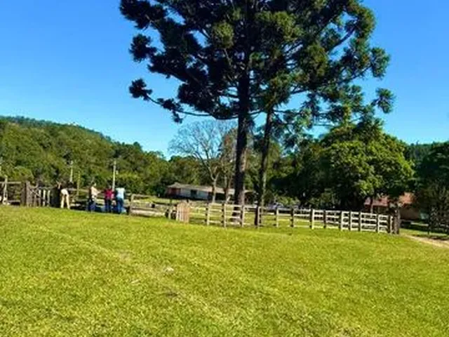 Imagem: Lote Residencial no Campolim Onde Suas