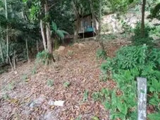 Imagem: Terreno Top
