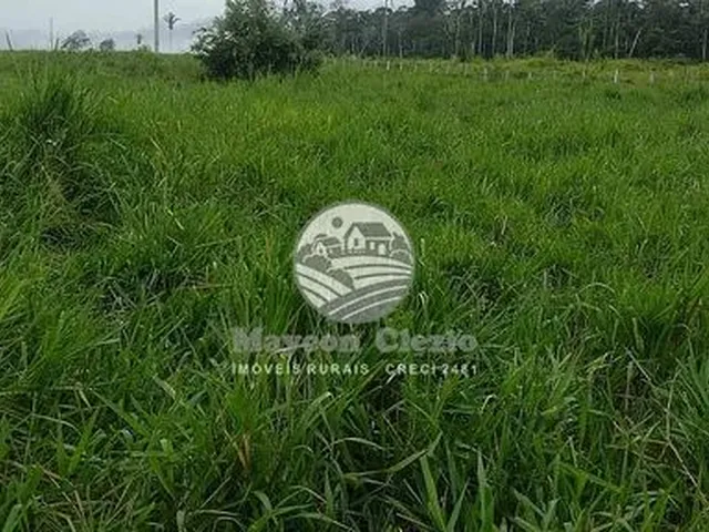 Imagem: Venda - Fazenda - Porto Velho - 239 Hectares