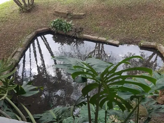 Imagem 13: Casa Sobrado 3 Pavimentos com Lago Natural