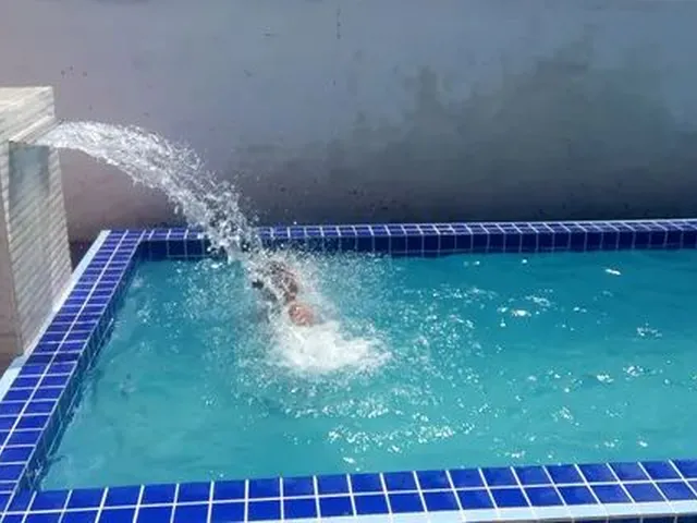 Imagem 5: .
