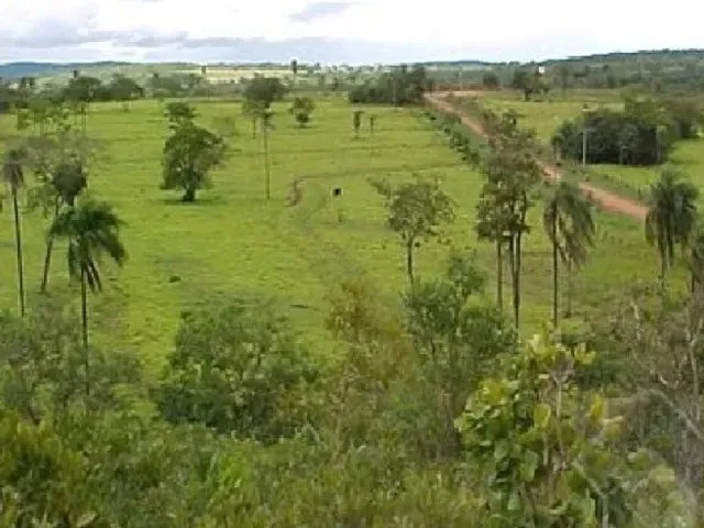 Imagem: Linda Chácara Beira do Rio Formoso 65 Ha
