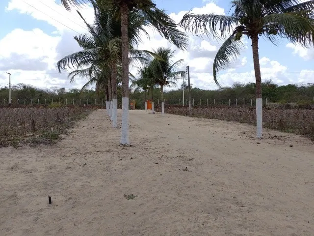 Imagem 2: Sítio/Granja/Chácara/Fazenda com 13.300 M², Duas Casas,Poço Tubular
