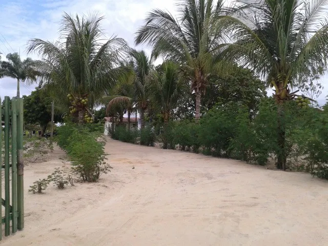 Imagem 9: Sítio/Granja/Chácara/Fazenda com 13.300 M², Duas Casas,Poço Tubular