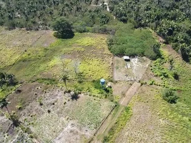 Imagem: Sitio a Venda com 99 Hectares com Um Riacho