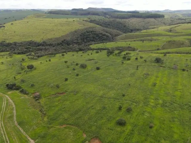 Imagem: Fazenda À Venda, 1940000 M² por R$ 6.650.000,00