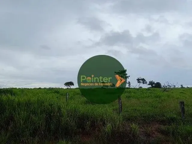 Imagem: Fazenda À Venda, M² por R$ 165.000.000,00