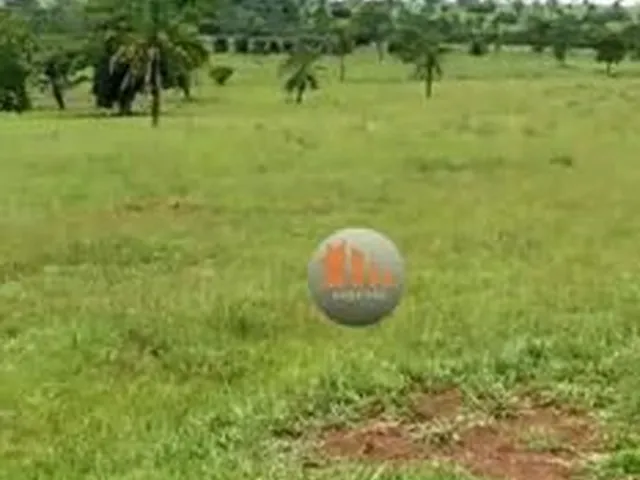 Imagem: Fazenda À Venda, 113 Alqueires por R$ 24.860.000