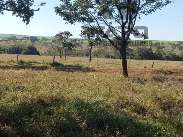 Imagem: Fazenda Rural em Itapagipe - Mg, Municipio