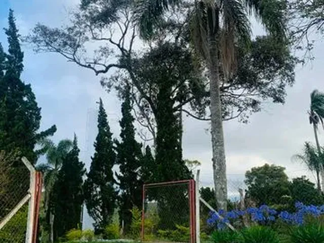 Imagem: Vendo Meu Terreno de 1000M2