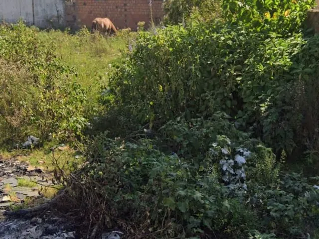 Imagem: Terreno Residencial em Alvorada - Rs, Americana