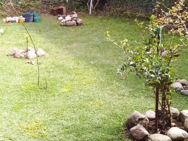 Imagem 2: Alugo Casa com Piscina. Piscina, Área de serviço, 120m² de Áreae2...