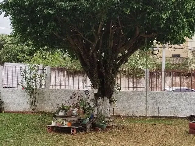 Imagem: Aluga-Se Ap no Manoel Julião