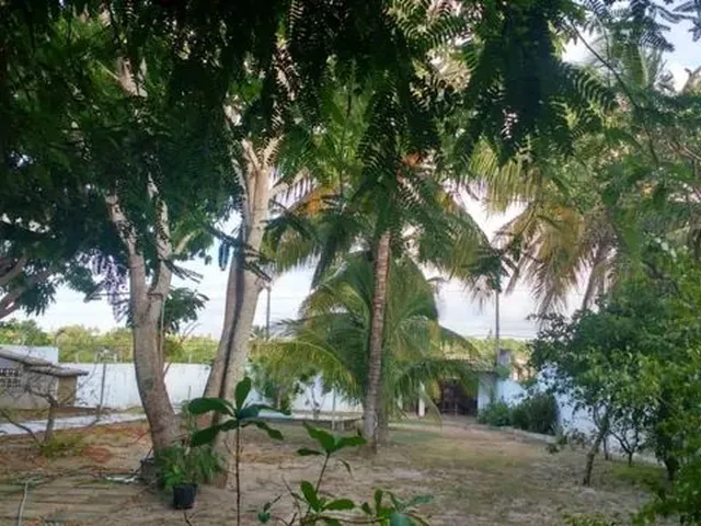 Imagem: Exelente Casa para Locação Barra de Jacuipe
