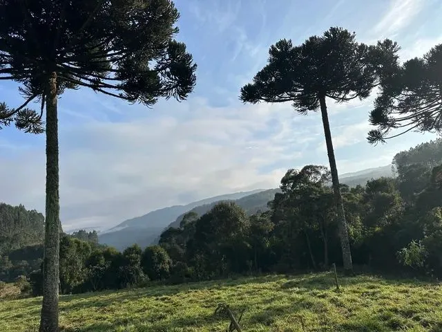 Imagem: Vendo Sítio