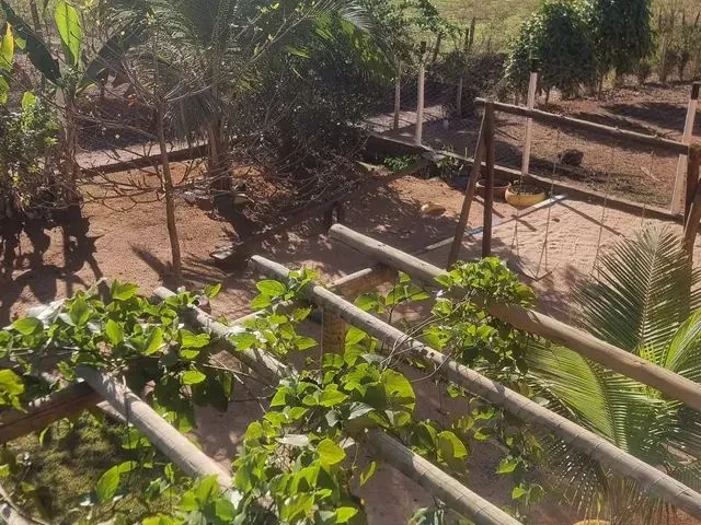 Imagem 15: Chácara Brauninha Belo Oriente