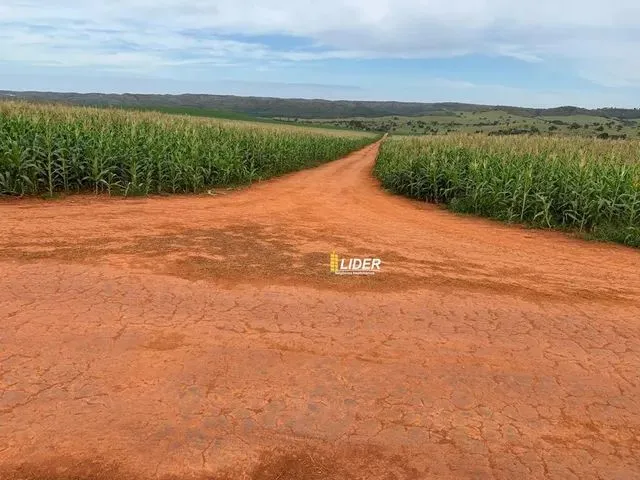 Imagem: A fazenda possui 290m² de Área e está localizado em