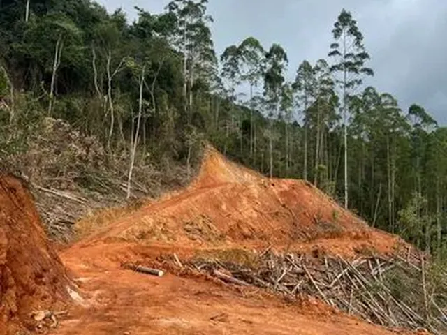 Imagem 4: Vendo Terreno Escriturado